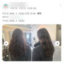 엘리브