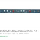 다이나믹 서플라이 | BAE 1073MP Dual 구매 후기 인터뷰 - Zon Grey (박준형)님