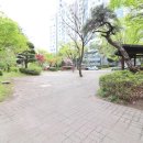 송강그린공인중개사사무소 이미지