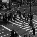 삼마전기 이미지