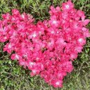 지윤농장 이미지