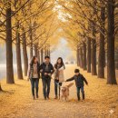 신녕천 고향의 강 공중화장실(2) | 영천에서 강아지(반려견)과 산책하기 좋은 가을여행지 BEST 3