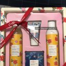 로즈-인 이미지