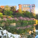 건국대학교 이미지