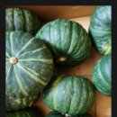 숙이네농장 이미지