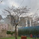 현덕슈퍼 | [광주] 유동ㅣ광주 야장ㅣ해방촌