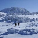 제주도 가볼만한곳 제주 먹거리 볼거리 겨울여행 이미지