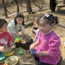 숲이있는 어린이집 이미지