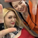 로지월드