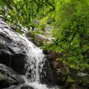 참새미골 이미지