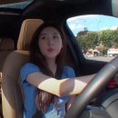 알바 이미지