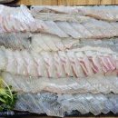 송화로42번길 | 갯마을횟집 광어, 참돔, 도다리