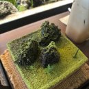 청수화장품 | 익선동 수플레 카스텔라 맛집 청수당베이커리 한옥 정원 외국인 부모님 모시고 오기 좋은 카페 추천