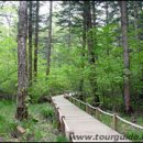 수목원약수터 이미지