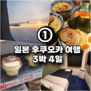 3박 4일 일본 후쿠오카 여행 상세 후기 ① (인천공항/에어서울/지연/현지인 맛집/호텔)
