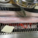 고창살아있는산풍천민물장어