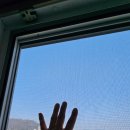 교원동010 이미지