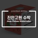 진안군농협조합공동사업법인 | 수박도 패키지가 있다는 걸 아세요?