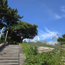 미카형 증기기관차 304호 | 제주3주 살이 - 7일 차