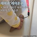 아기 독서습관 육아템 &#39;세이펜 4세대 레인온펜&#39; 두돌전아기 사용법 및 찐사용후기