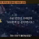 브릿지브레인