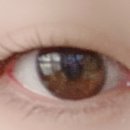 라보떼래쉬 이미지