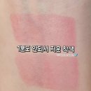 [딘토]겨쿨립 신상 222피아트 룩스 / 223 아모르파티 후기