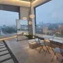 플라플로 (PLFL) 이미지