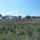 화우농장 이미지