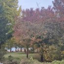 두물머리공원 맞은편 이미지