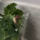 주몽학교 이미지