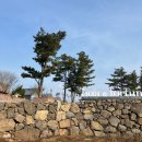 포르투나 스테이 인 표선 이미지