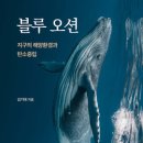 블루오션 이미지