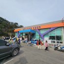 당진 장고항 실치 맛집 당진시수산물유통센터 쌍용수산 실치회 포장 후기
