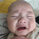 100일 아기, 얀의 하루