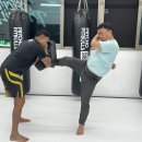 센텀강변 싸이코핏불스 이미지