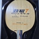 dhs pg7라켓fl그립 90g 팝니다.(시타품)(가격인하) 이미지