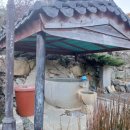 임정사 - 1873 | 임정사