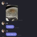 엑스페스토 이미지