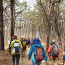 2020년4월1일(수)김포 가현산 진달래동산및둘레길걷기/11KM/우린님진행 이미지