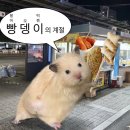 사랑의 힘으로 다 해냄