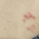 상동의원 이미지