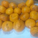 선돌농장 이미지