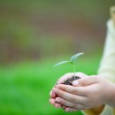 자연아이숲유치원 이미지