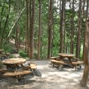 중앙로~물무로 이미지