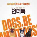 위대한견생 이미지