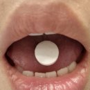 리빙강선생 이미지