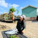 세화치과의원 이미지