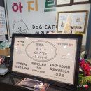 부산 남포동 애견 없이도 입장 가능한 애견카페 남포아지트