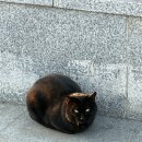 초록꿈틀마을 | [임산부기록] 30주~31주